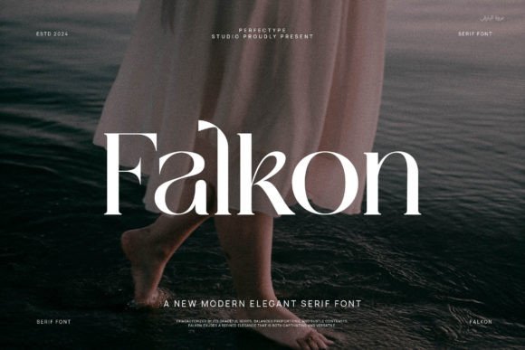 Falkon: A Serif Font That Makes Your Brand Look Polished