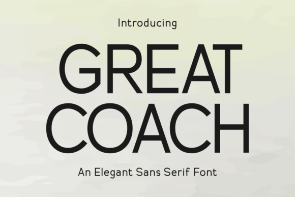 Great Coach: A Clean, Authoritative Sans Serif for Real Branding Work
