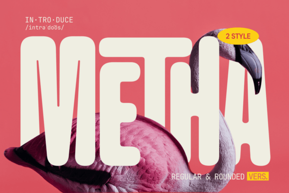 Metha: A Friendly, Rounded Sans Serif for Campaign Graphics