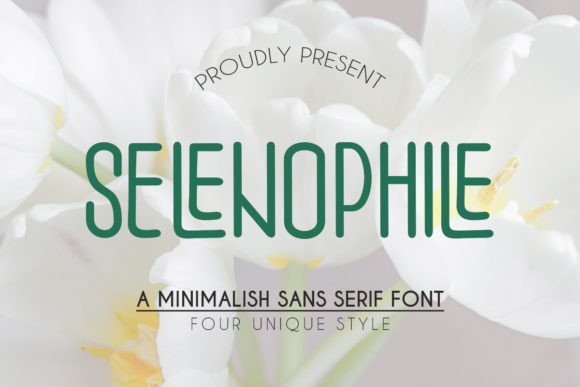 Selenophile: A Friendly Sans Serif Font for Small Business Branding