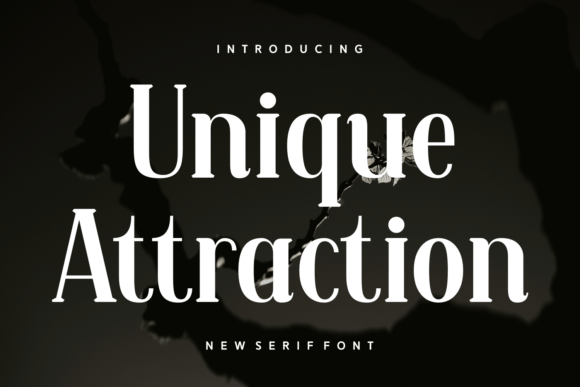 Unique Attraction: A Serif Font for Editorial Distinction